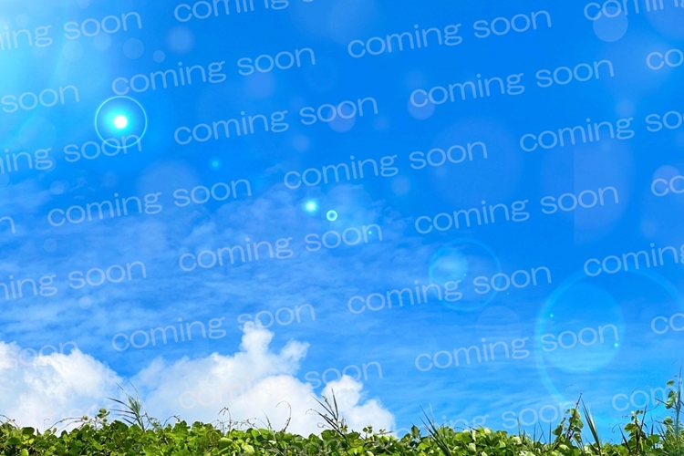 オネスティータウン本庄市小島1丁目