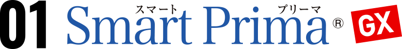 01 Smart Prima GX