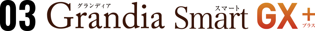 03 Grandia Smart GX+
